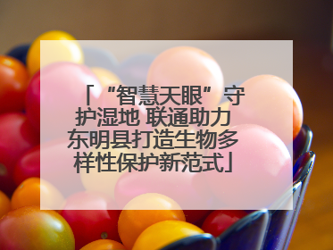“智慧天眼”守护湿地 联通助力东明县打造生物多样性保护新范式